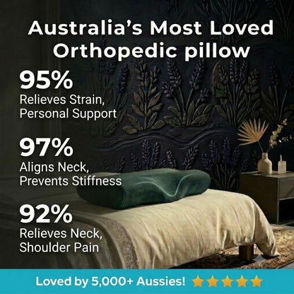 PainMelt™ Orthopedic Memory Foam Pillow
